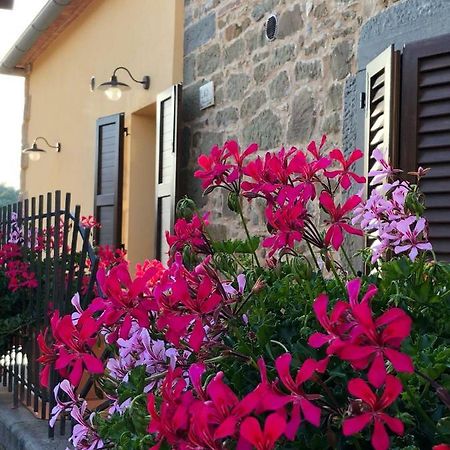 Mamma Laura Apartment Vagliagli Екстериор снимка