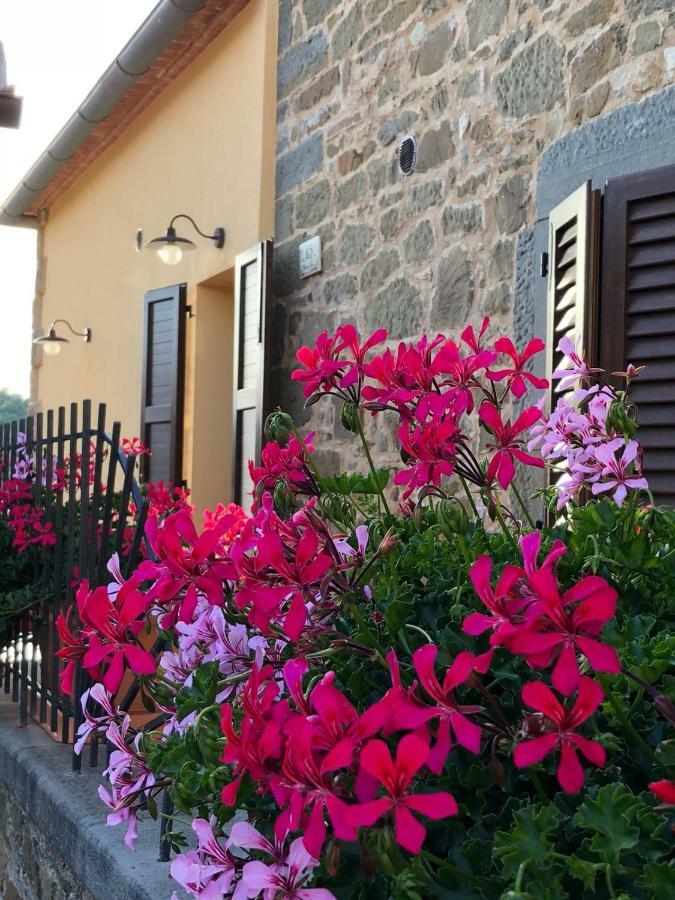 Mamma Laura Apartment Vagliagli Екстериор снимка